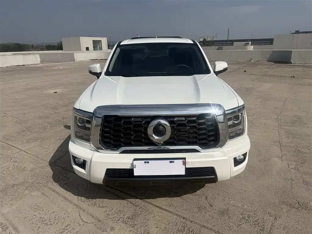 Great Wall King Kong Pao — миниатюра 2