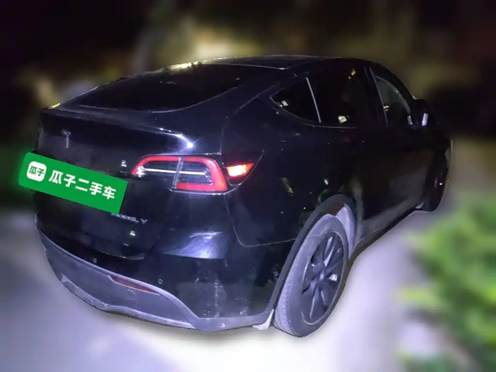 Tesla Model Y — миниатюра 4