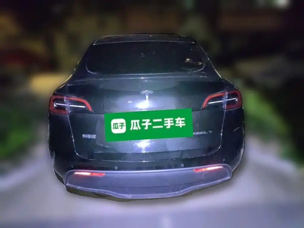 Tesla Model Y — миниатюра 3