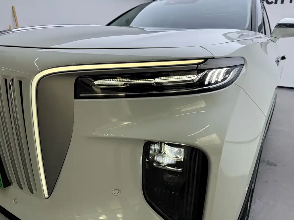 Hongqi E-HS9 2022 690km мест