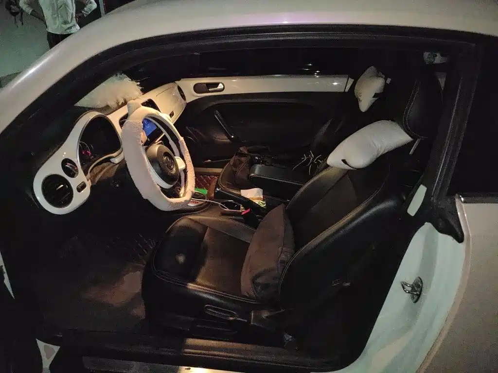 Volkswagen Beetle — миниатюра 18