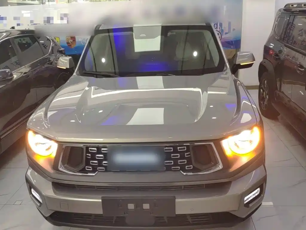 Haval Big Dog PLUS New Energy — миниатюра 3