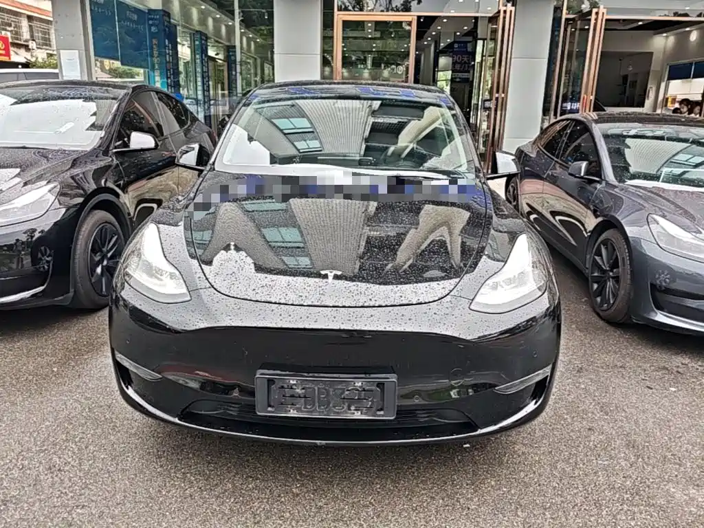 Tesla Model Y — миниатюра 3