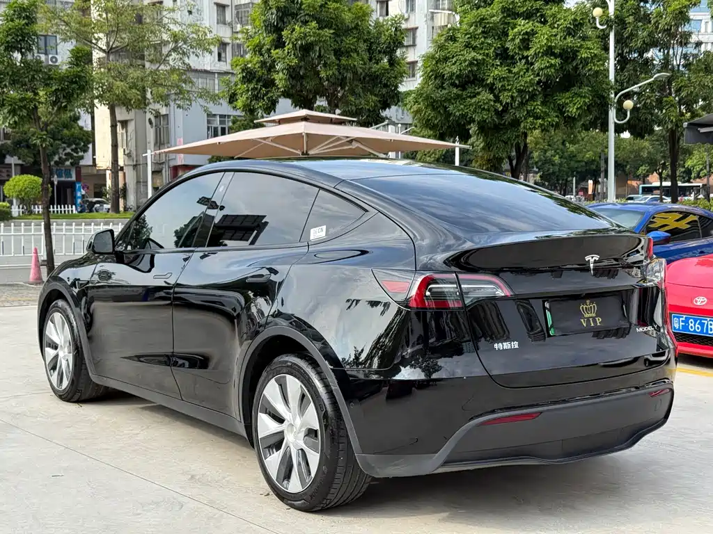 Tesla Model Y — миниатюра 4