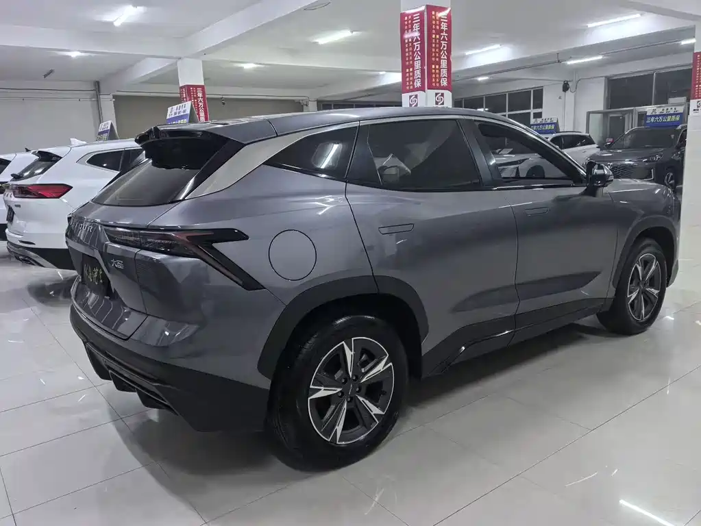 Jetour Dasheng — миниатюра 4