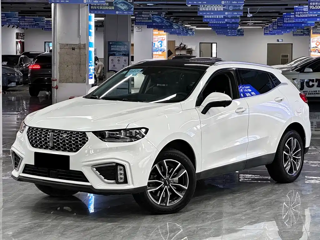 WEI PAI WEI BRAND VV5