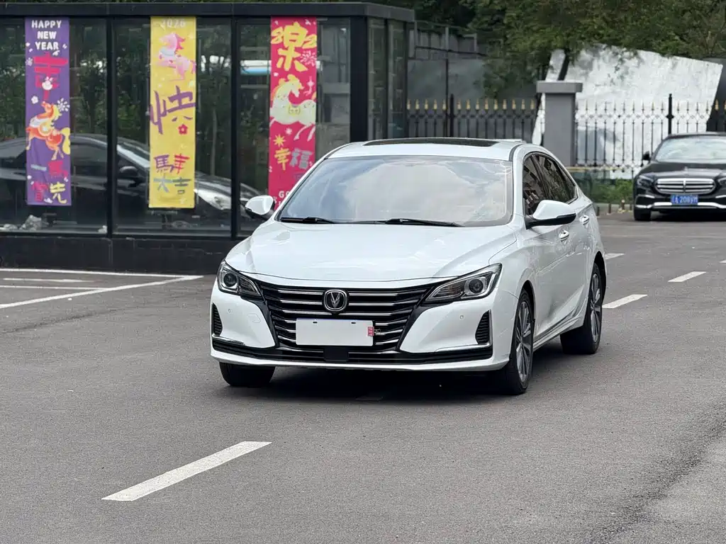 2019 Changan Raeton - zdjęcie 1 z 18
