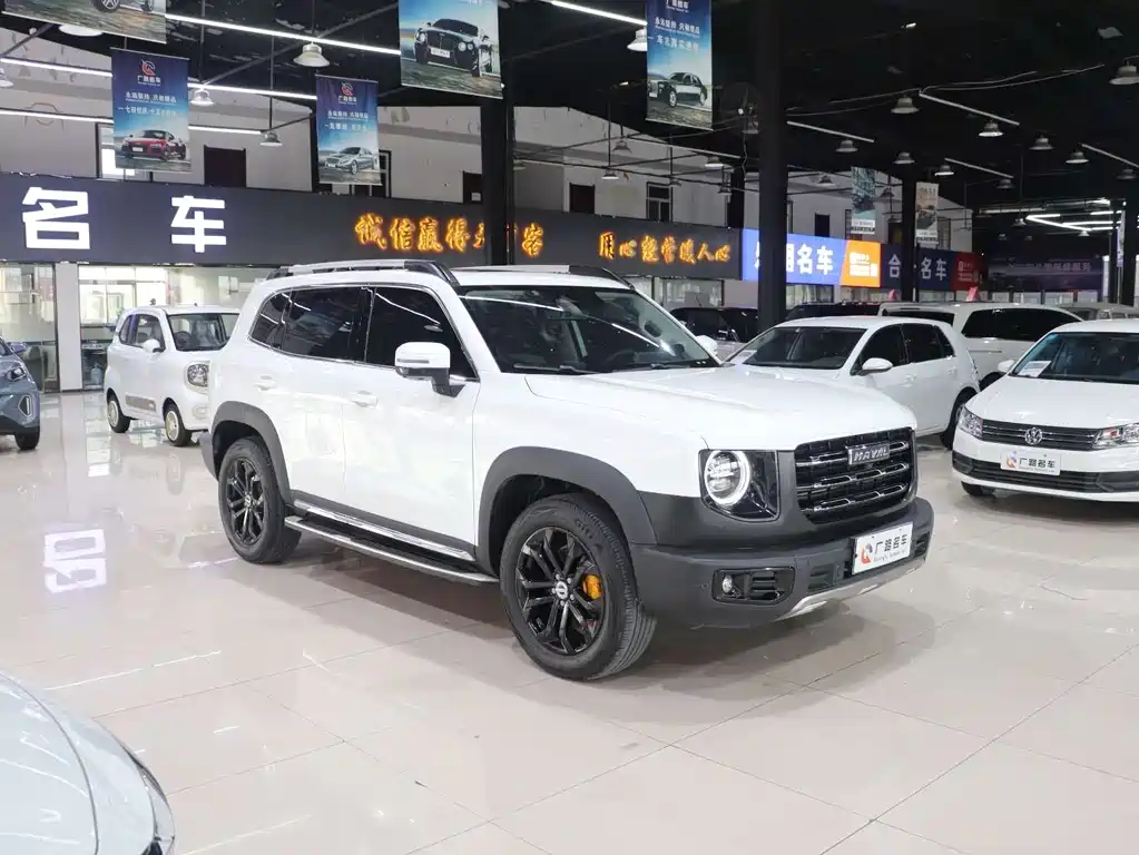 HAVAL BIG DOG