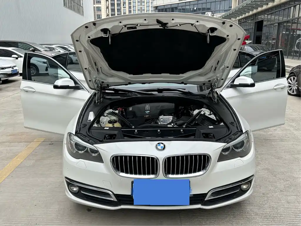 BMW 5 Series 5 2017 520Li Elegant