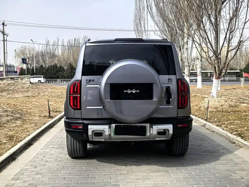 FANG CHENG BAO LEOPARD 5