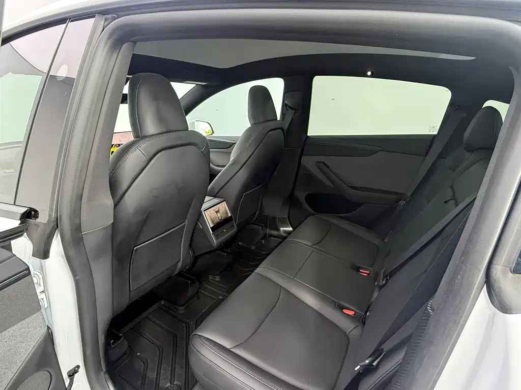 Tesla Model Y — миниатюра 10