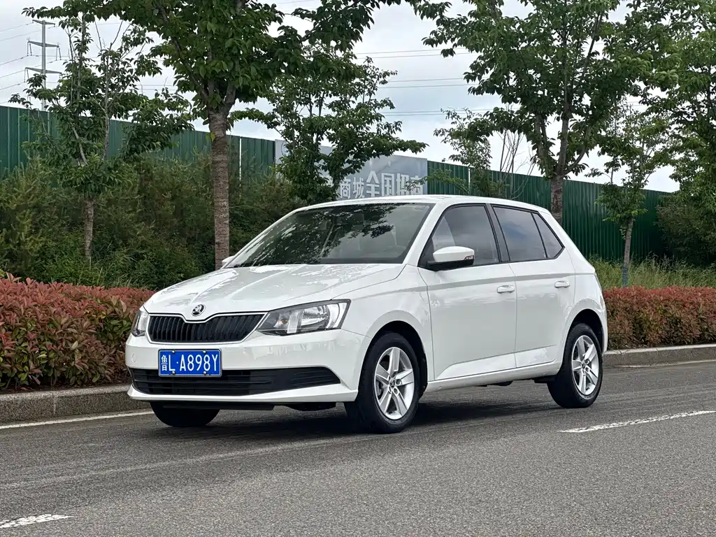 Купить Skoda Fabia