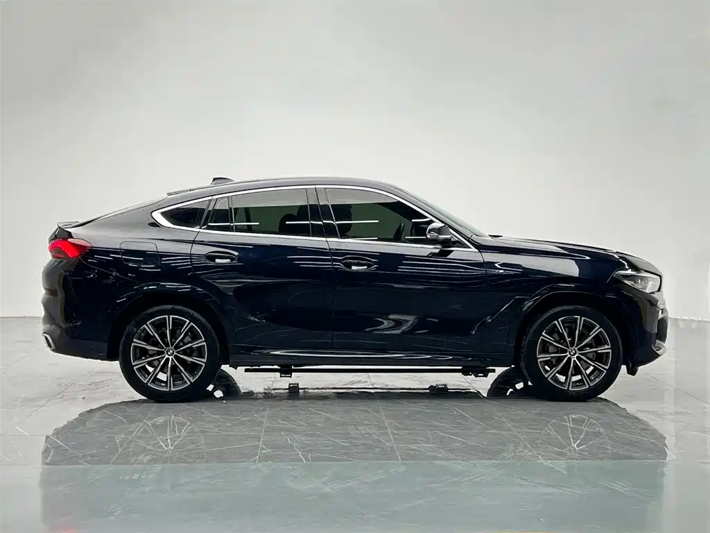 BMW X6 2021 xDrive30i M Sport