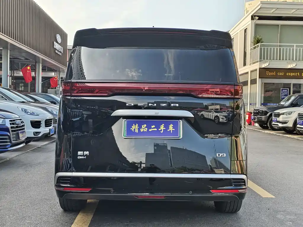 Denza Denza D9 — миниатюра 5