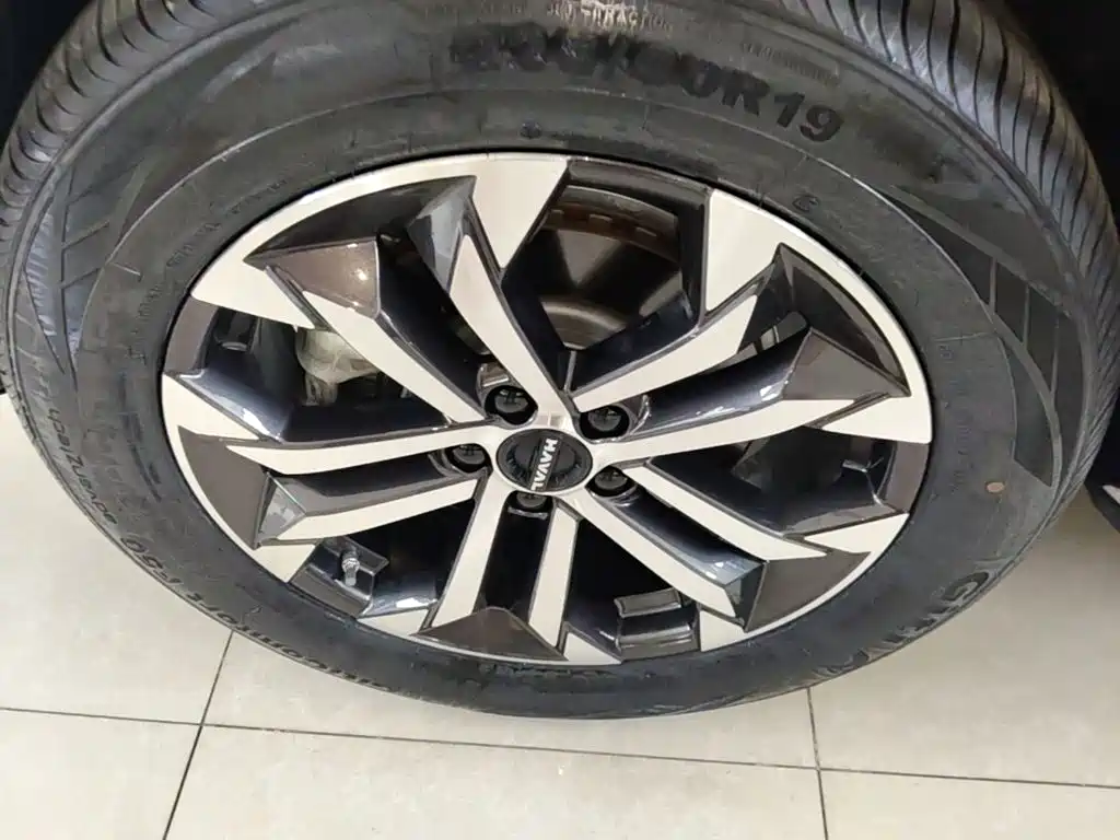 Haval Big Dog — миниатюра 23