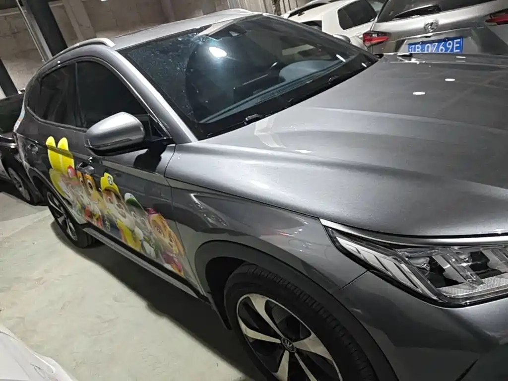 BYD PLUS New Energy — миниатюра 27