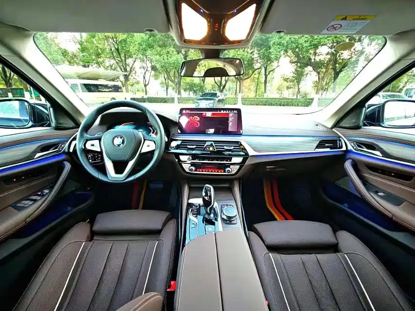 BMW 5 Series 5 2021 530Li Premium Luxury