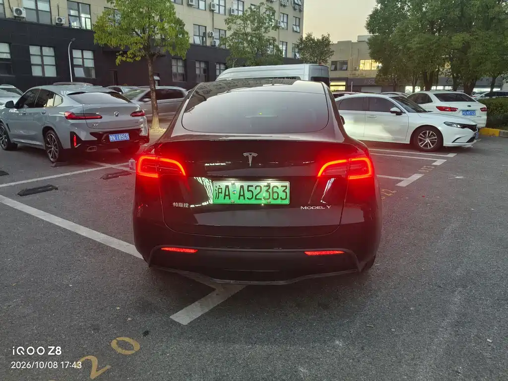 Tesla Model Y — миниатюра 5