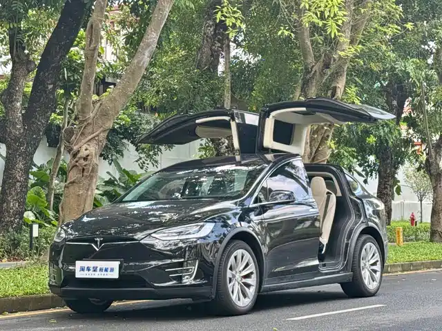 TESLA MODEL X 2019