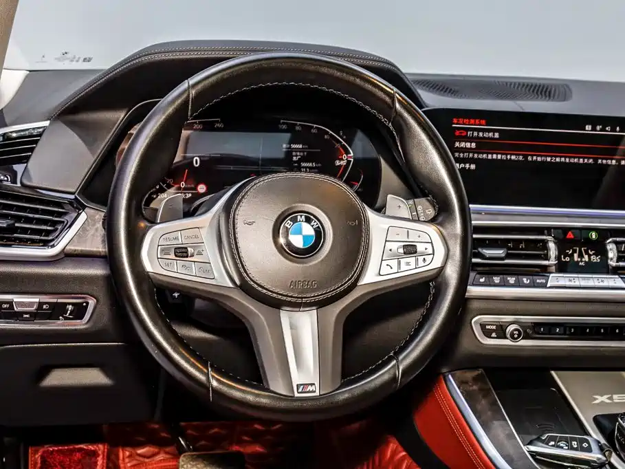 BMW X5 — миниатюра 25