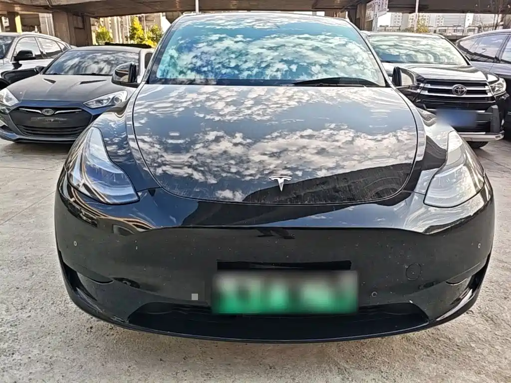Tesla Model Y — миниатюра 3