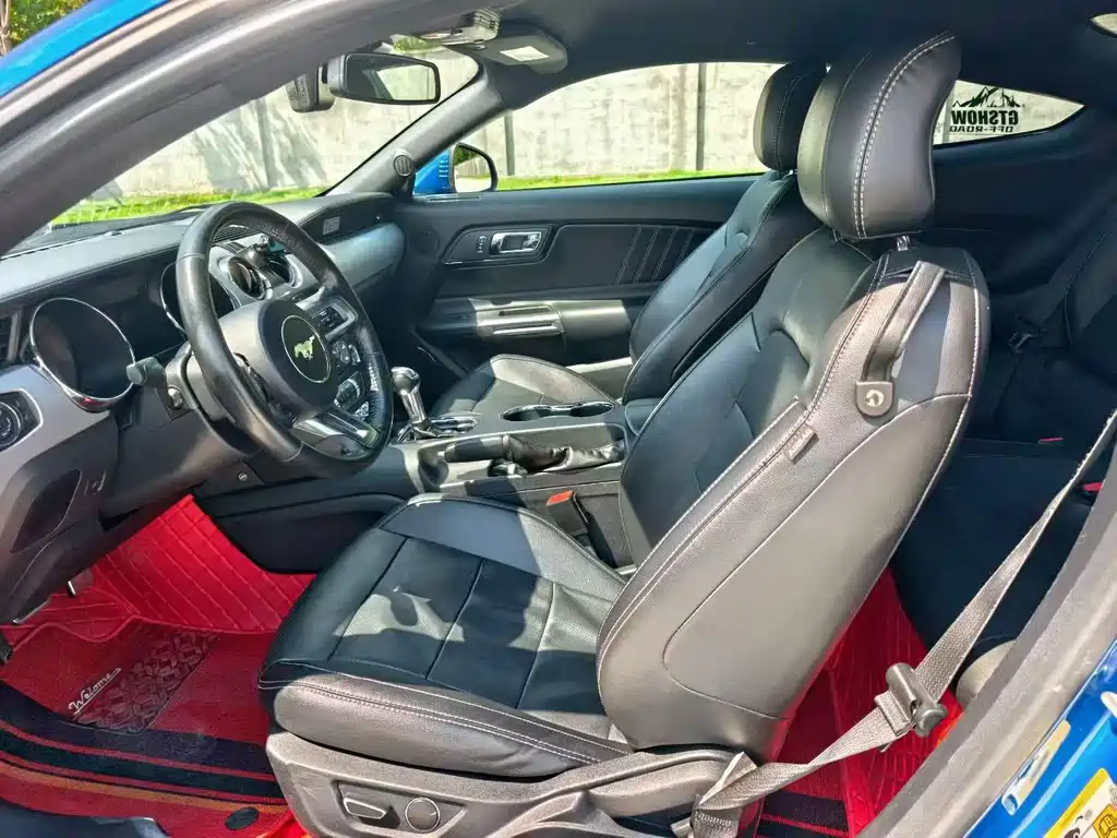 Ford Mustang — миниатюра 7