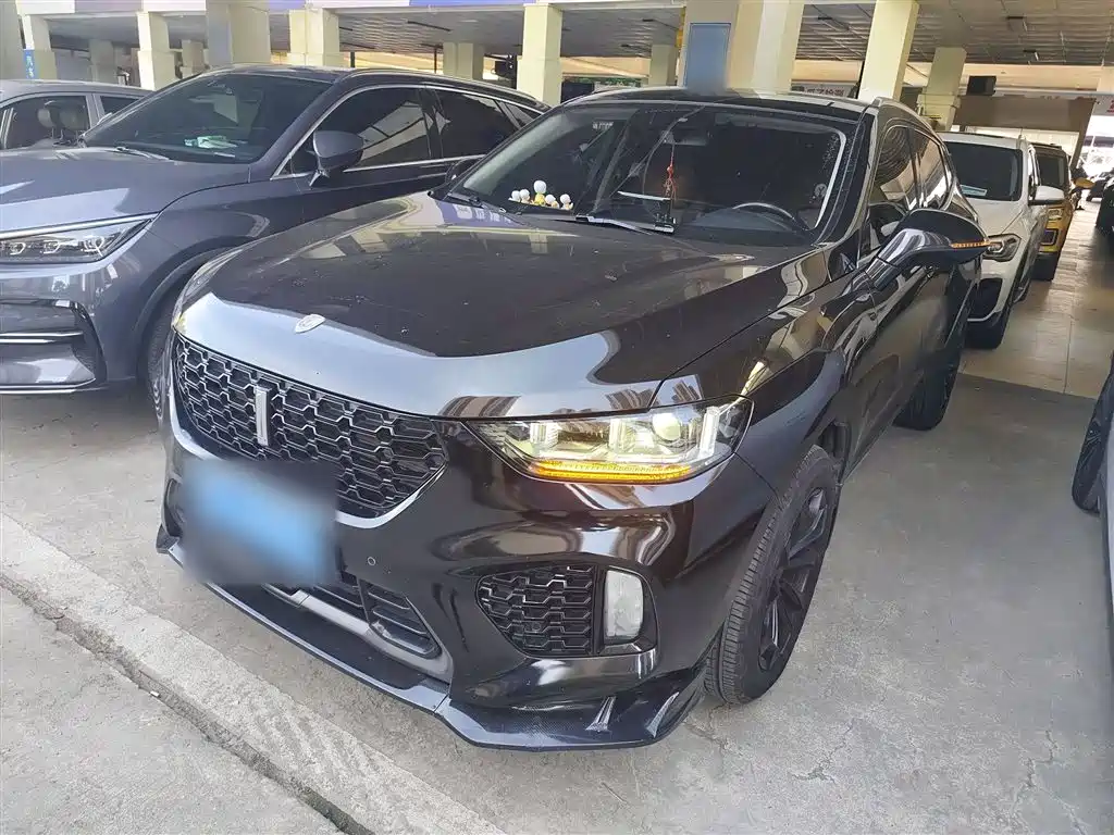 WEI PAI WEI BRAND VV5