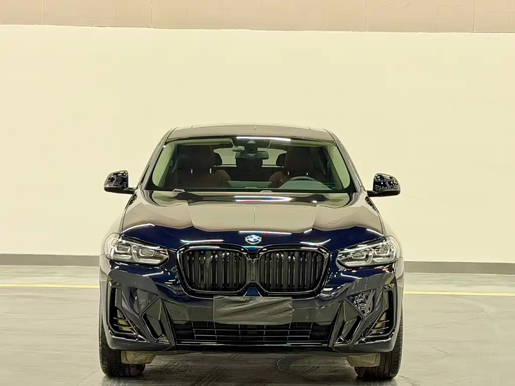 BMW X4 — миниатюра 2