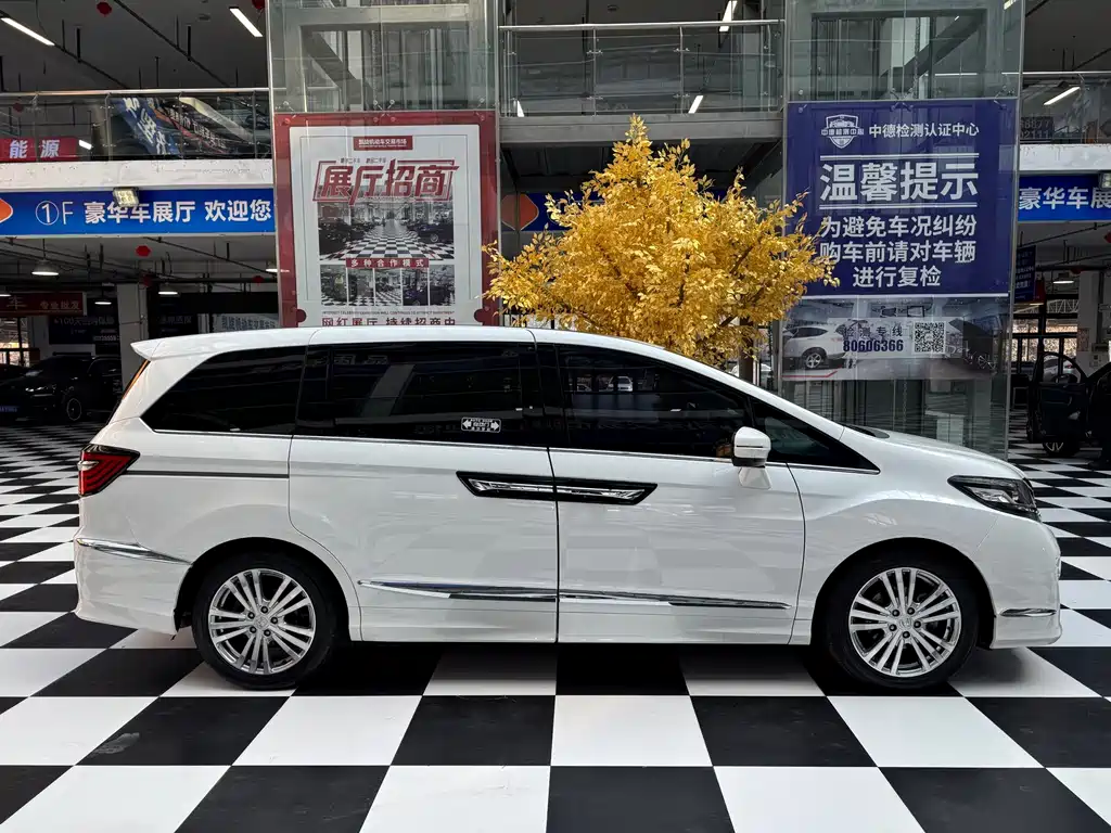Honda Elysion — миниатюра 6