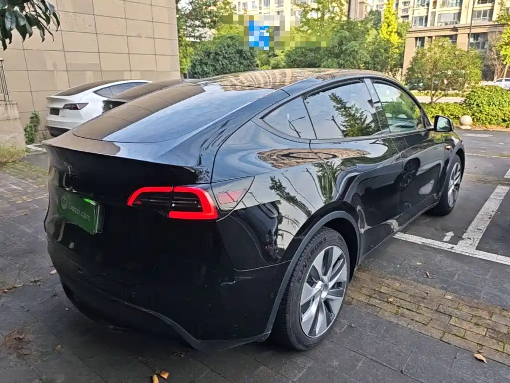 Tesla Model Y — миниатюра 7