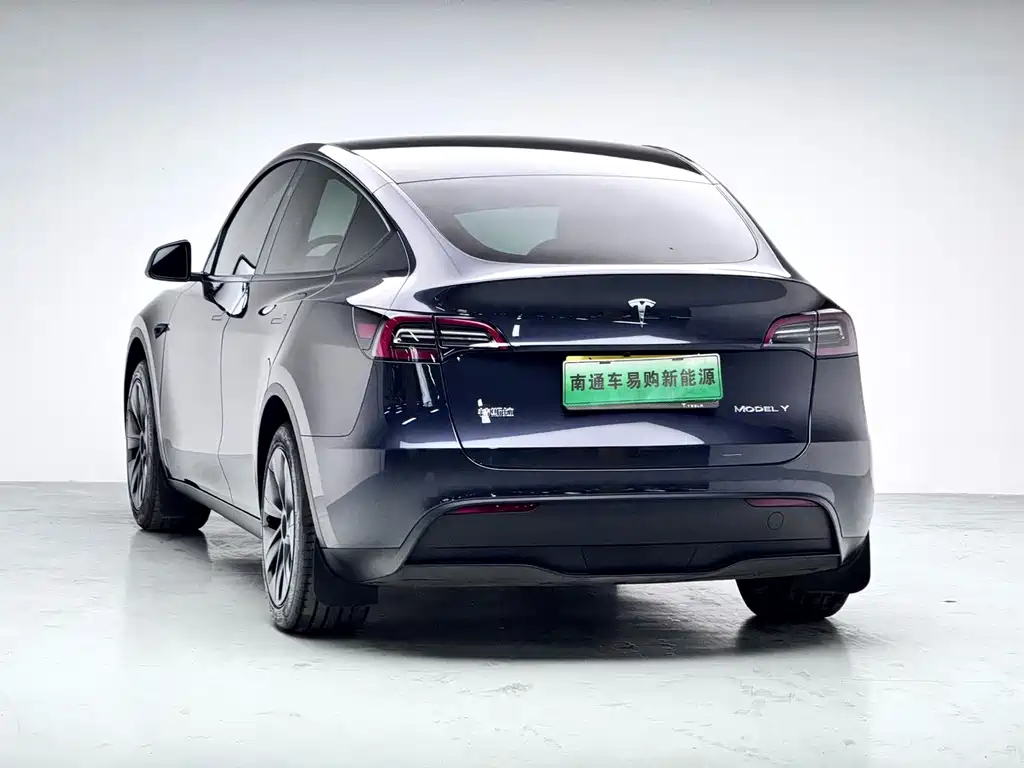 Tesla Model Y — миниатюра 4