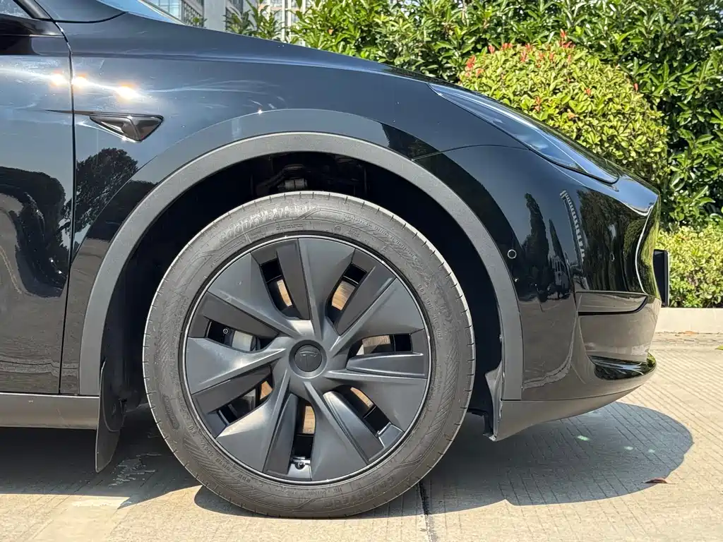 Tesla Model Y — миниатюра 18