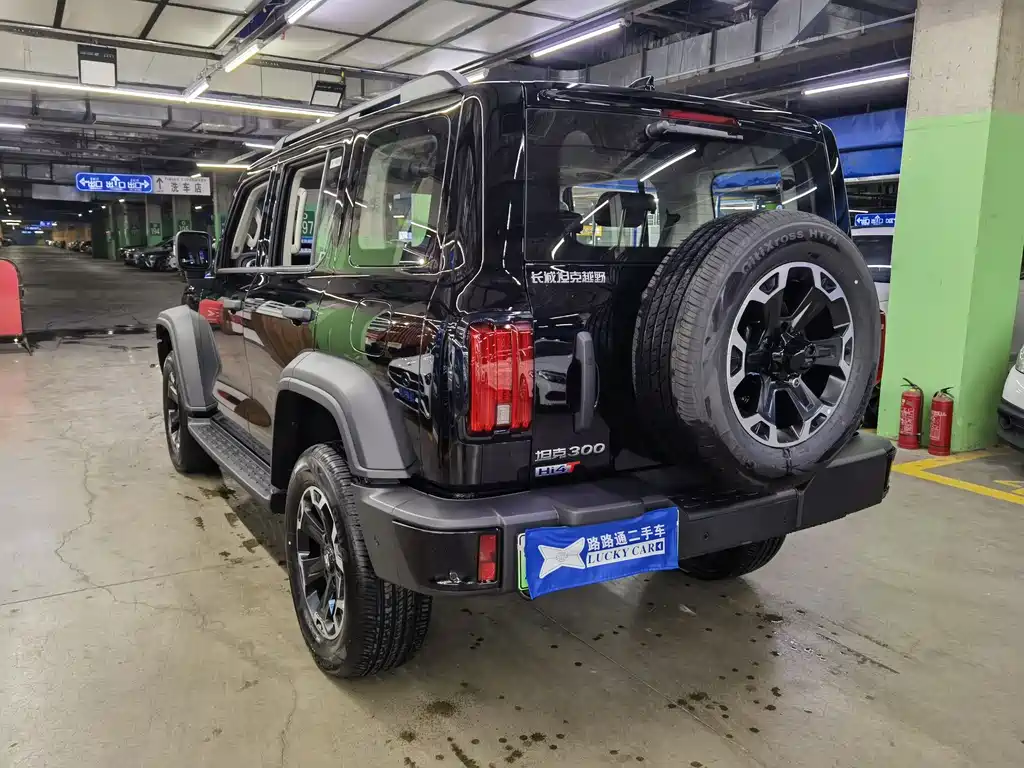 TANK TANK 300 NEW ENERGY