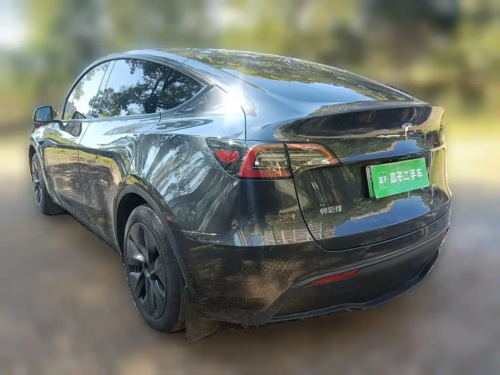 Tesla Model Y — миниатюра 4