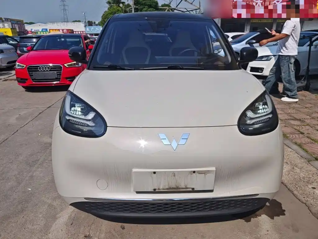 Wuling Binguo 2023 333km +