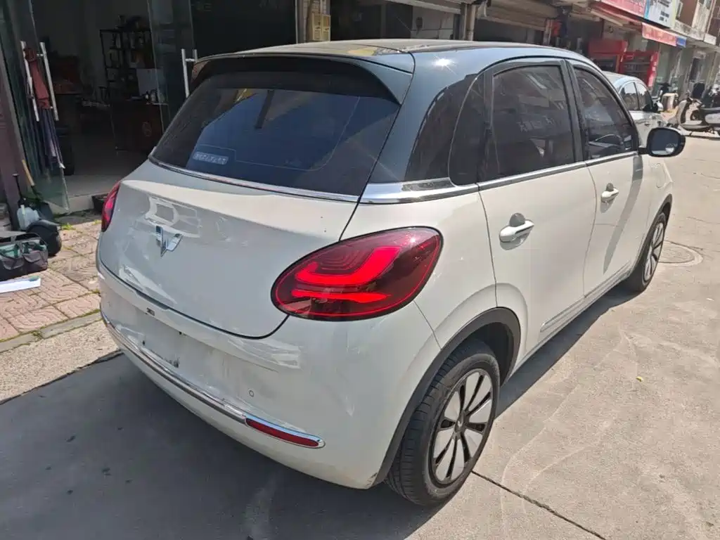 Wuling Binguo 2023 333km +