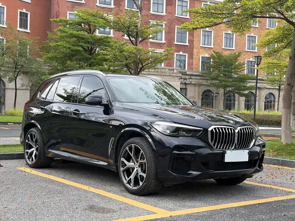 BMW X5 2022 xDrive 30Li M Sport