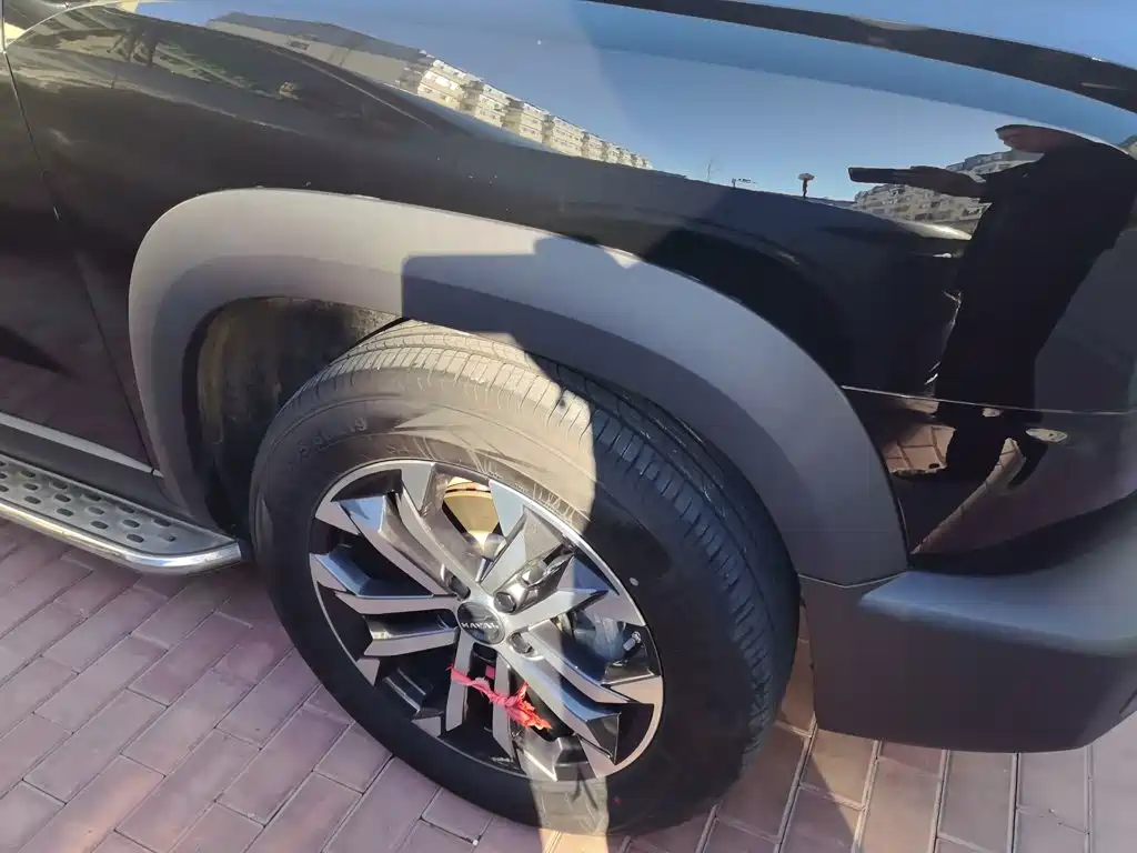 Haval Big Dog — миниатюра 24