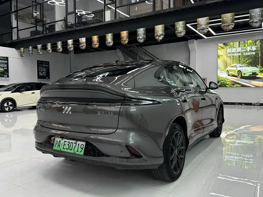 IM IM LS6 — миниатюра 9