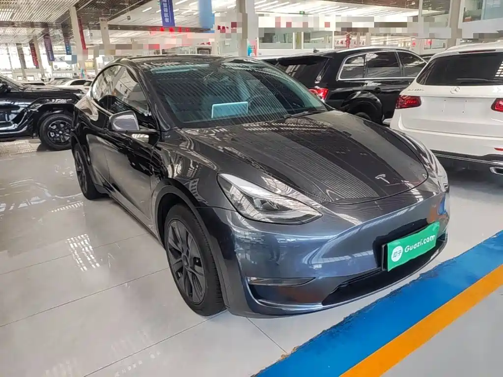 Tesla Model Y — миниатюра 4