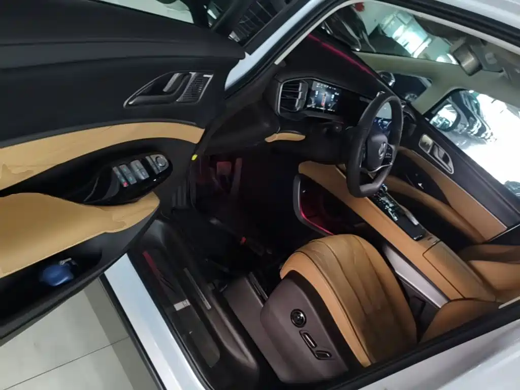 Denza Denza D9 — миниатюра 16