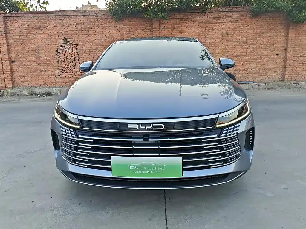 BYD Destroyer 05 — миниатюра 2