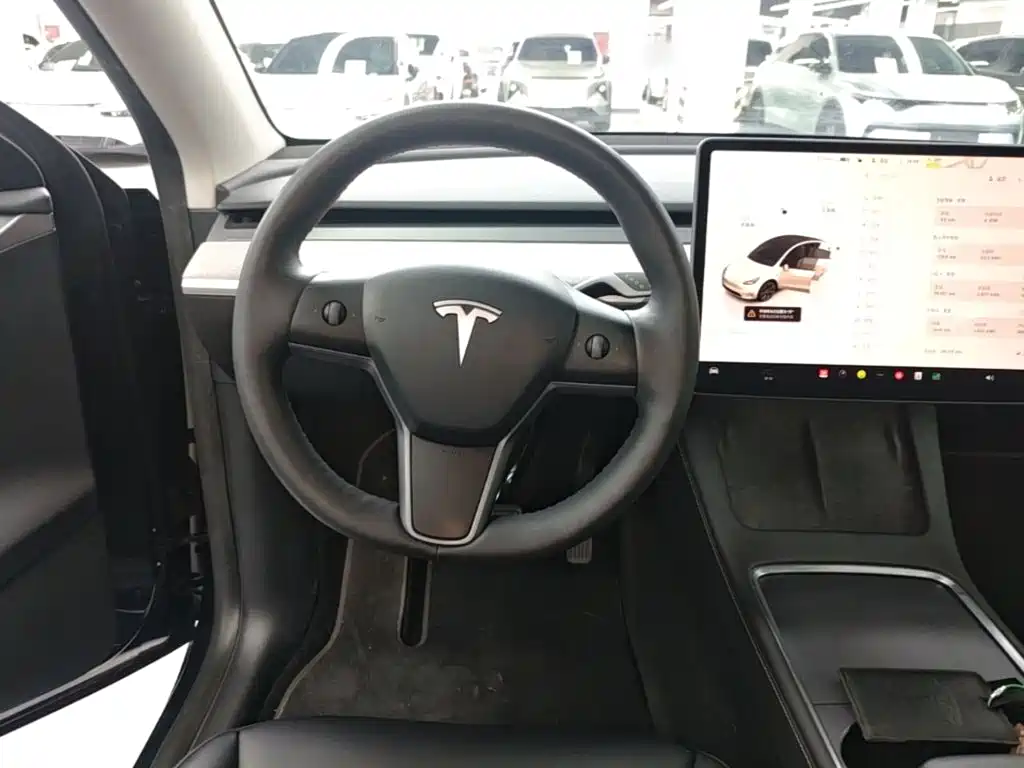 Tesla Model Y — миниатюра 11