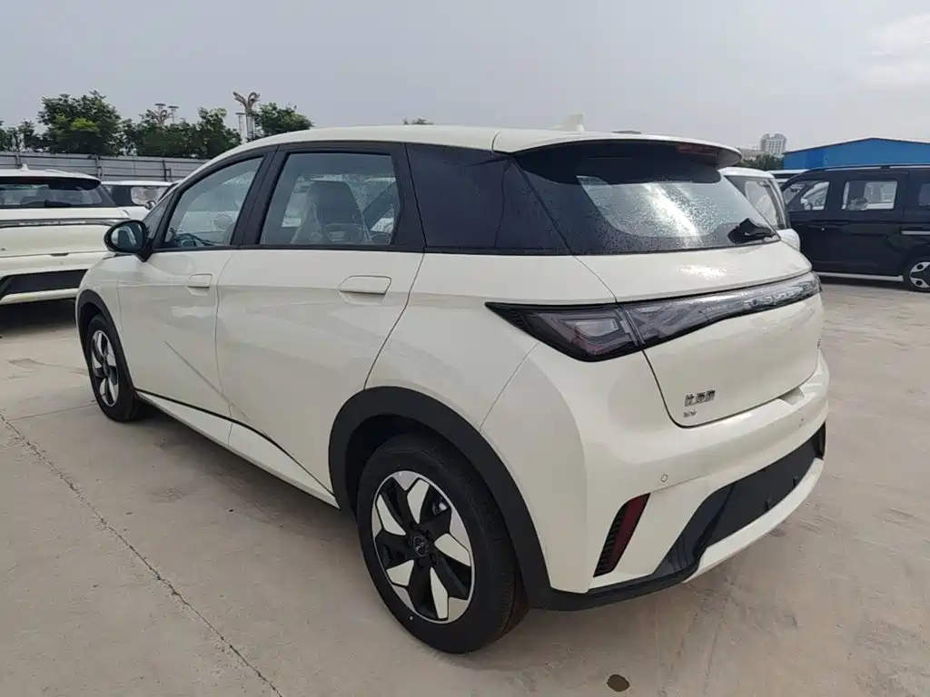 BYD Dolphin — миниатюра 5