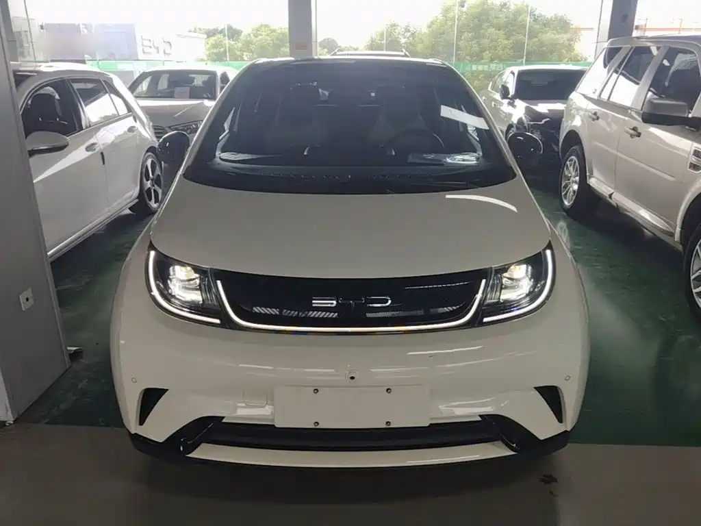BYD Dolphin — миниатюра 3