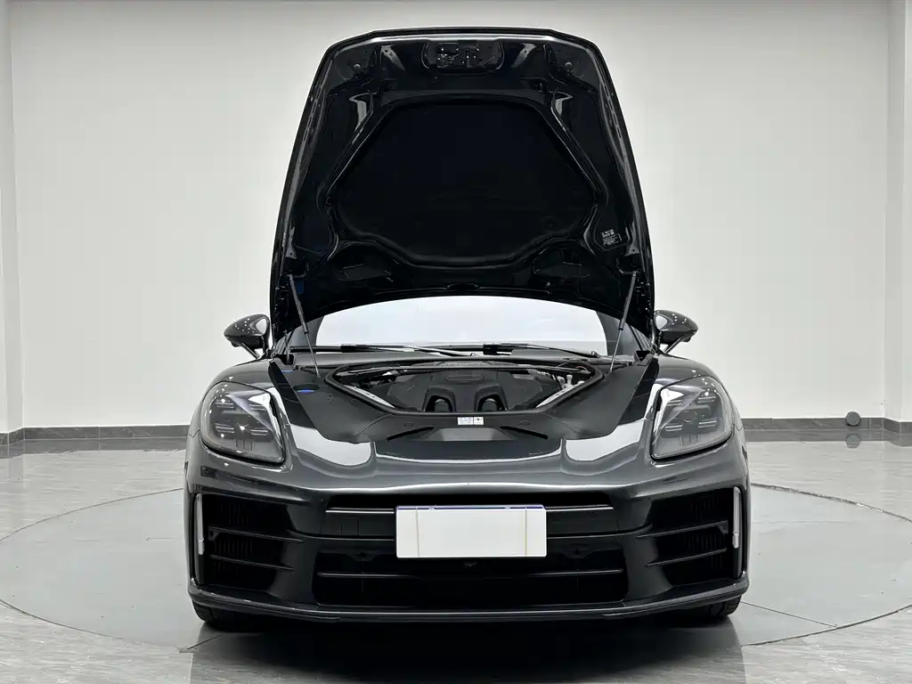 Porsche Panamera — миниатюра 26