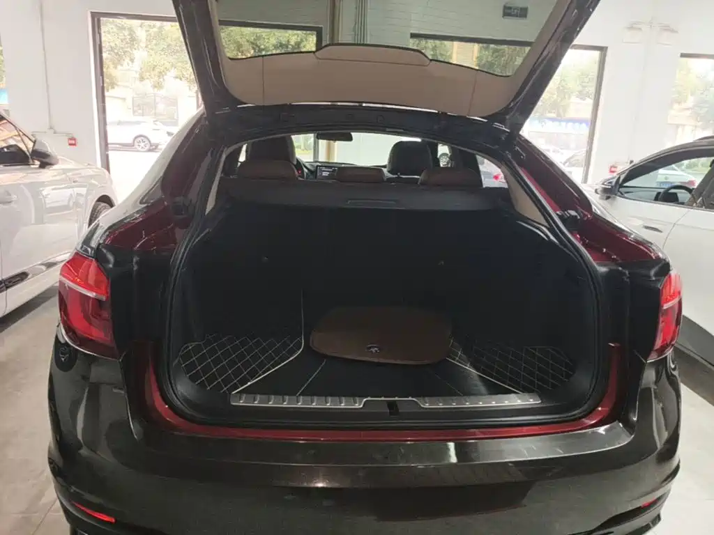 BMW X6 — миниатюра 19