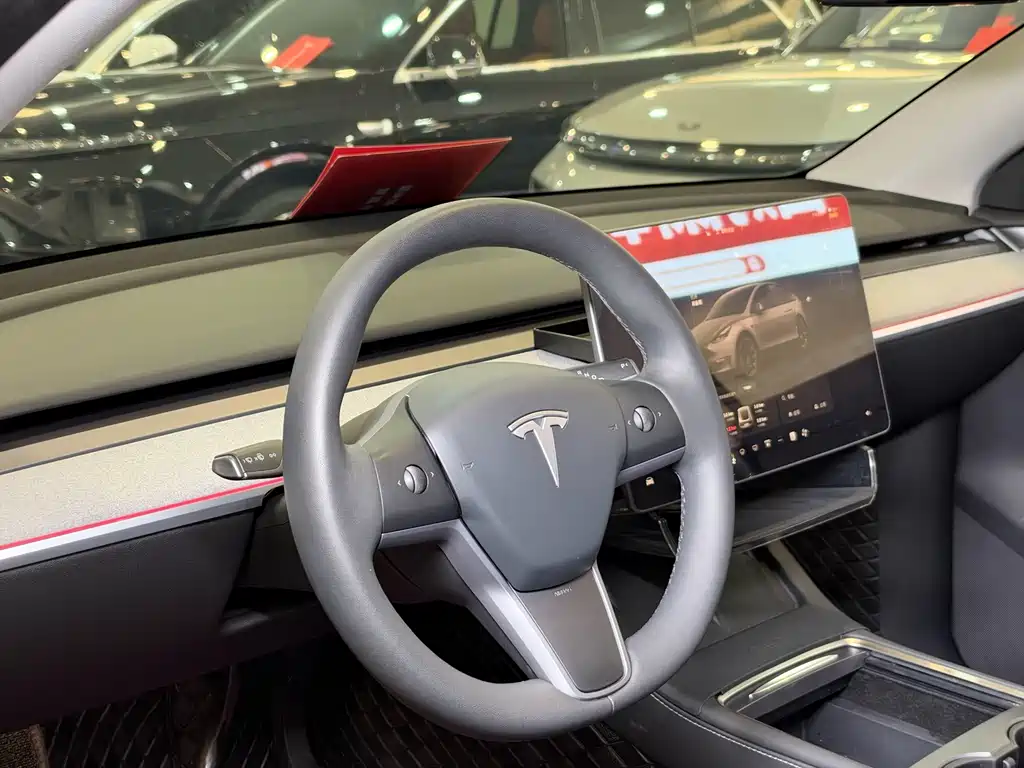 Tesla Model Y — миниатюра 7