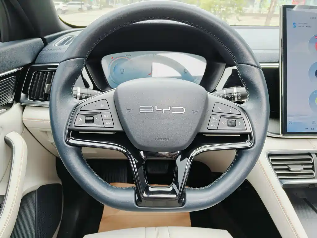 BYD SONGJIANG NEW ENERGY