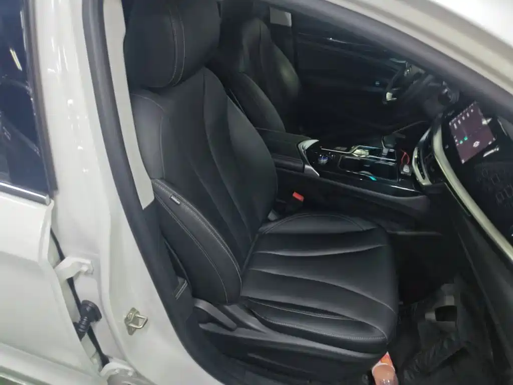 Geely Borui Hybrid — миниатюра 25